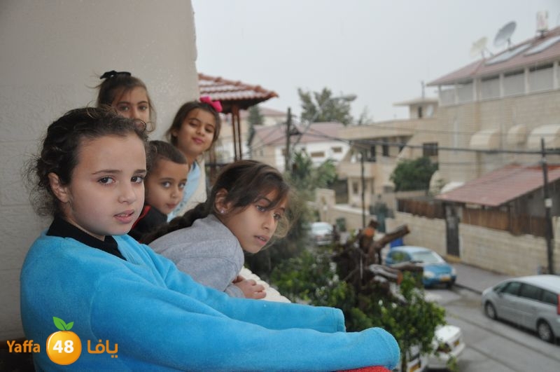 iceman lud 1213 (17).JPG